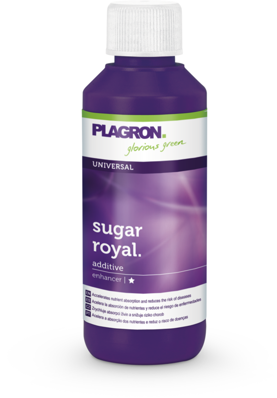 Plagron Sugar Royal 100ml