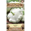 Semínka MoravoSeed Patison, bílý 67203