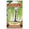 Semínka MoravoSeed Zelí pekingské HILTON 67701