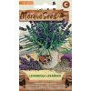 Semienka MoravoSeed Levanduľa lekárska 71724
