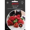 Semienka Piquant Paprička chilli JAMAICAN ROSSO