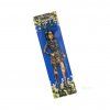 Lion Rolling Circus Hemp Wrap - konopný blunt, balenie 2 ks