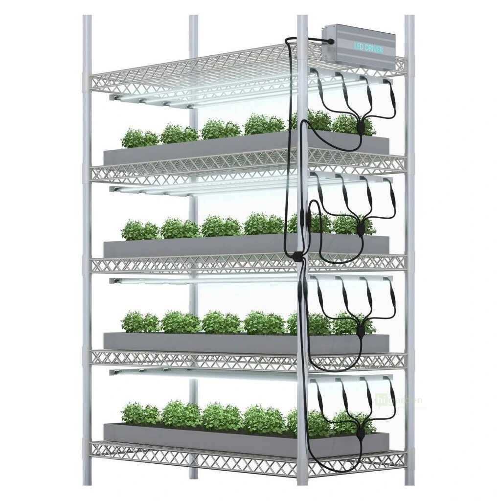 Microgreens erfolgreich anbauen: So wählst du die richtige LED-Lampe