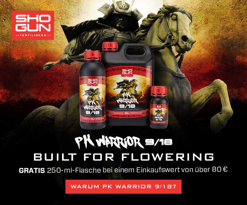 Shogun Warior Free over 80EUR