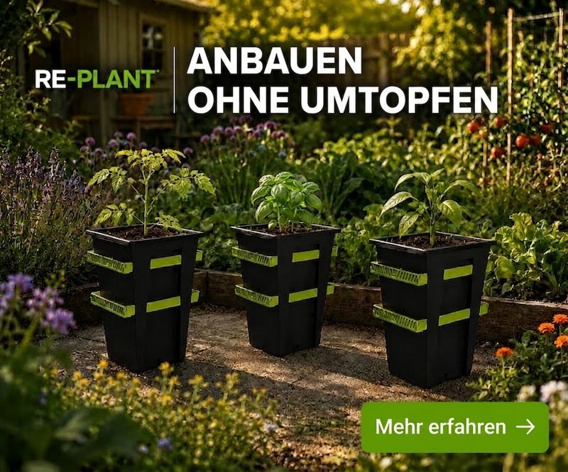 REPLANT Pflanztopf,