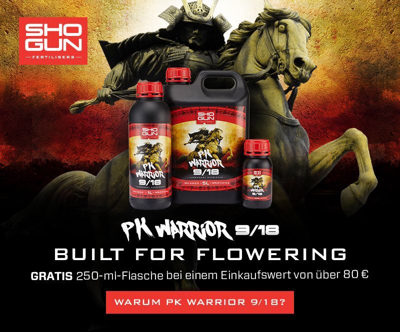 Shogun PK Warior 9/18 GRATIS