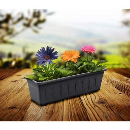 Gartenanthrazit 01