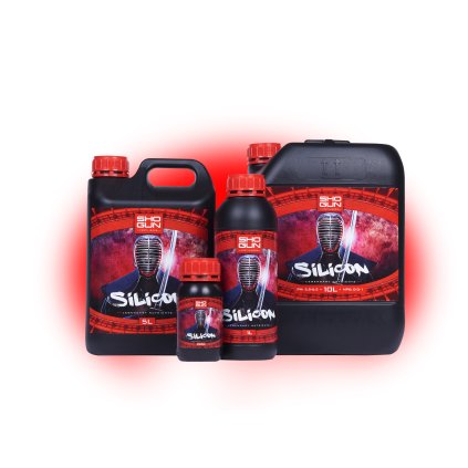 Siliziumfamilie