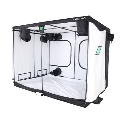 WHITE TITAN 1 PLUS HL (1)a