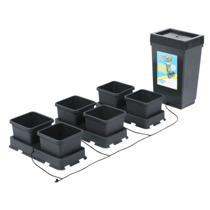 2913 4 easy2grow 6 black