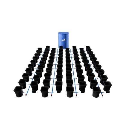 AP300 XL 80 80Pot XL System AQ5 NO SHADOW