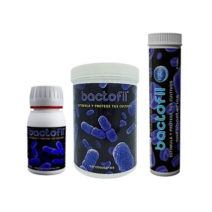 Bactofil endgültig