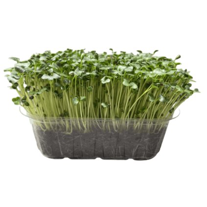 a9759eb3f53cadae76c5