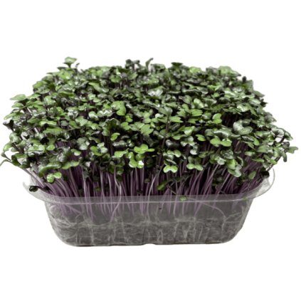 742690f51cfe472bed95