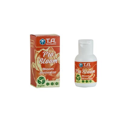PROBLEM 02 60 ml