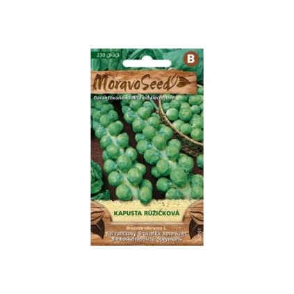 Samen MoravoSeed Rosenkohl 62101,