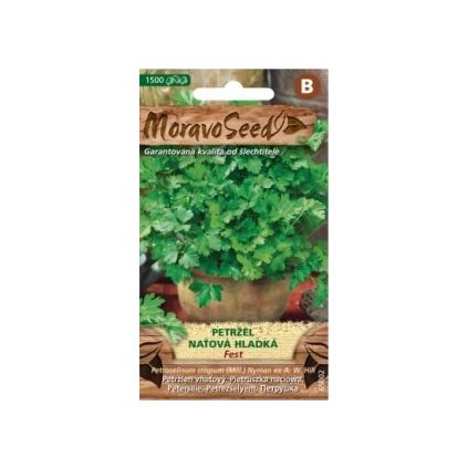 Samen MoravoSeed Glatte Petersilie 65002