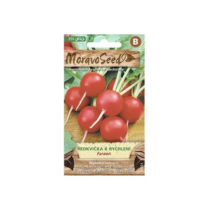 Samen MoravoSeed Rettich zur Beschleunigung FARAON, rund rot 65921