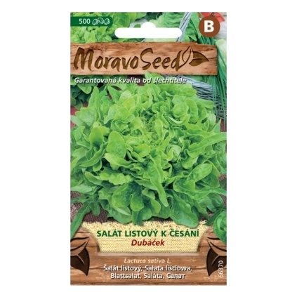 Samen MoravoSeed Kämmsalat DUBÁČEK, grün 66370