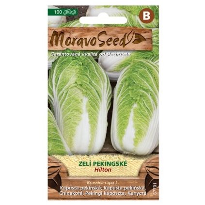 Samen MoravoSeed Pekingkohl HILTON 67701