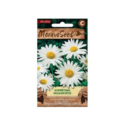 Samen MoravoSeed Großblumiges Gänseblümchen, weiß 31480
