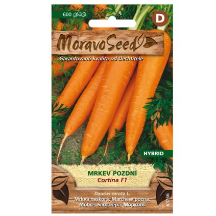 Samen MoravoSeed Karotte spät CORTINA F1 – Hybrid, 800er