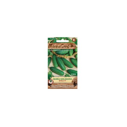 Samen MoravoSeed ORFEUS F1 dicke Einlegegurke - Hybrid, 30er