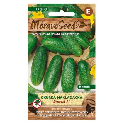 Samen MoravoSeed Einlegegurke EVEREST F1 - Hybrid, 30er