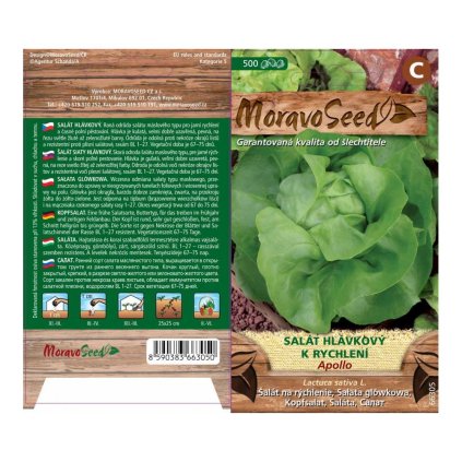 Samen MoravoSeed Salat zur Beschleunigung von APOLLO, 500er