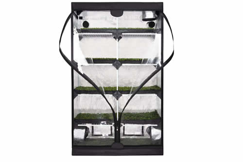 11670 10 probox-Gewächshaus xl 120x40x200cm