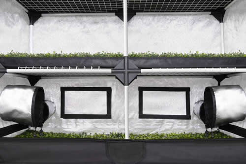11670 19 Probox-Gewächshaus xl 120x40x200cm