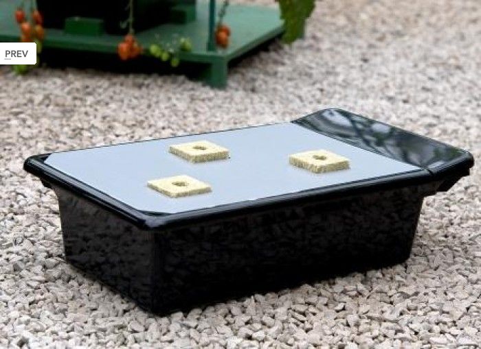 1539 5 nft gro tank gn 604