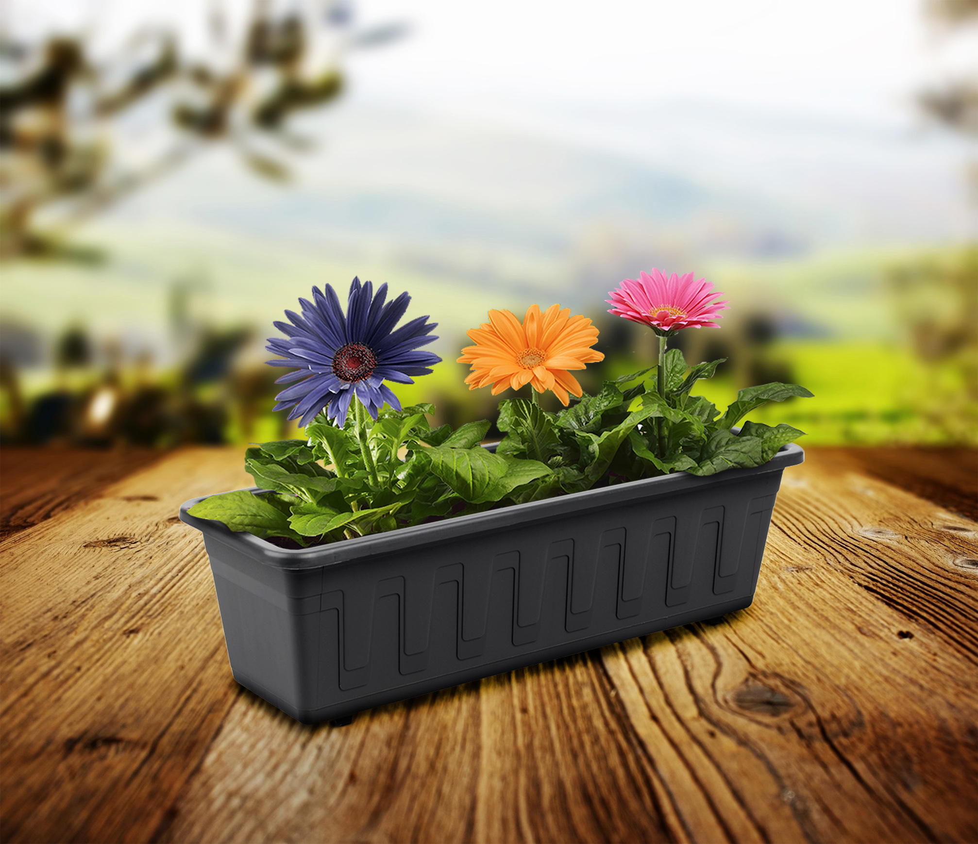 Gartenanthrazit 01