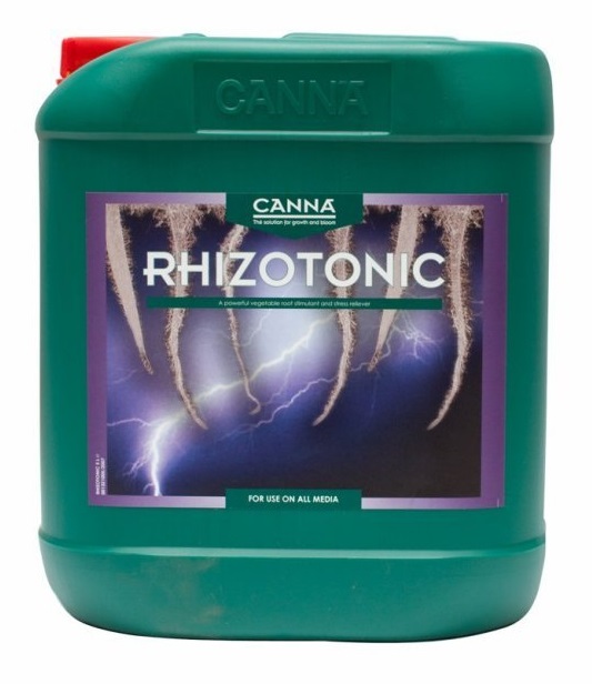 Canna Rhizotonisches Foto2
