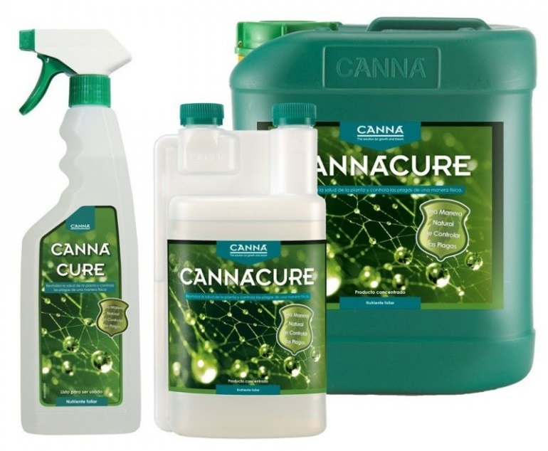 Cannacure