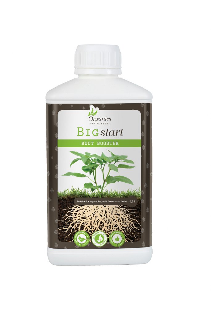 Big Start 0,5L engl