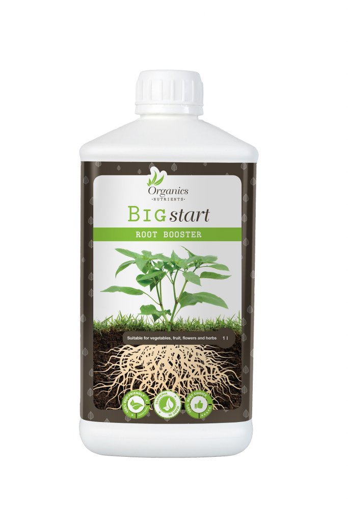 Big Start 1L eng