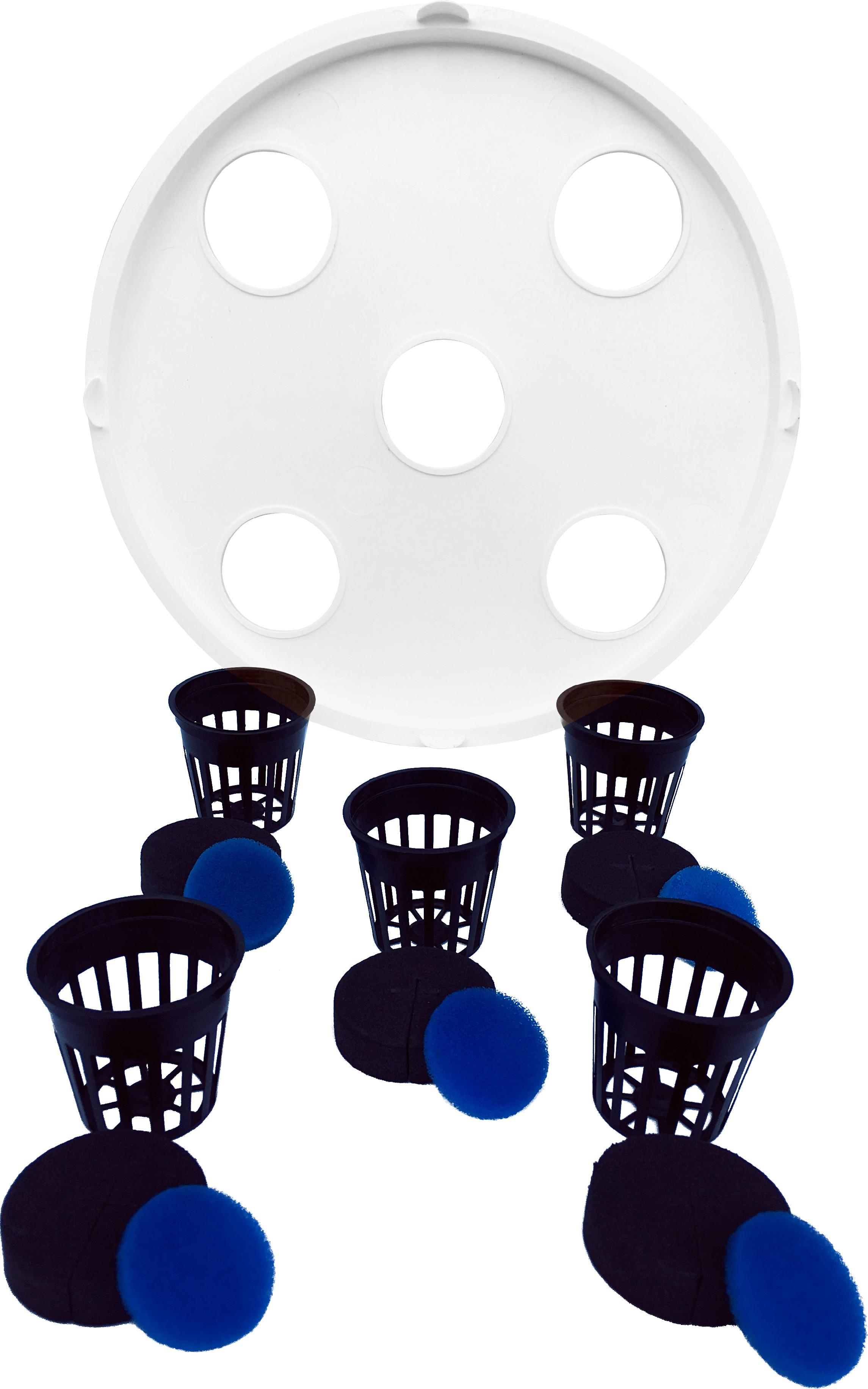 Ausschnitt für das AQUAplate Circle Kit