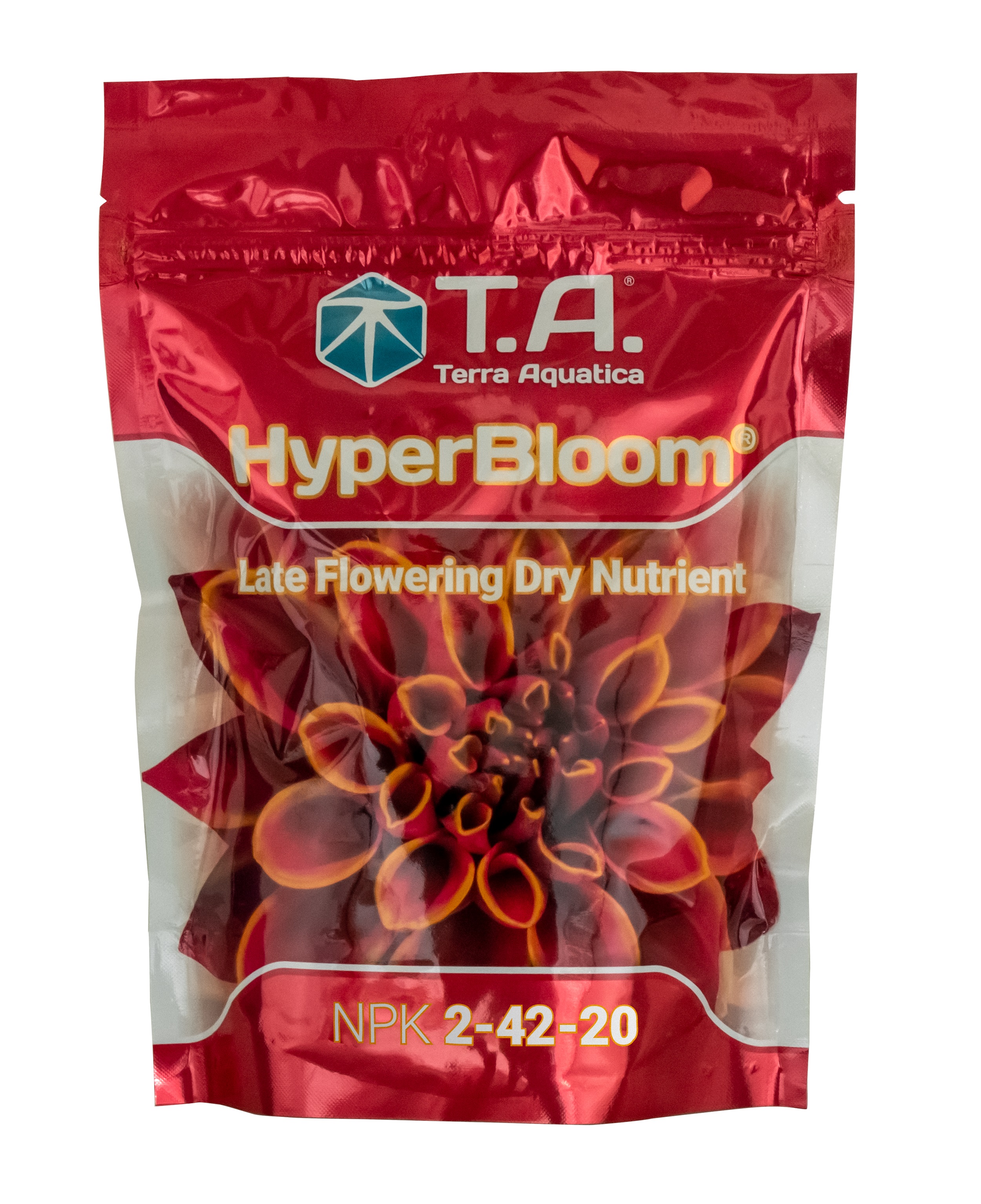 Hyperbloom-FondsIMG 8088 2