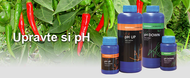 Essentials pH UP + 250ml Foto2
