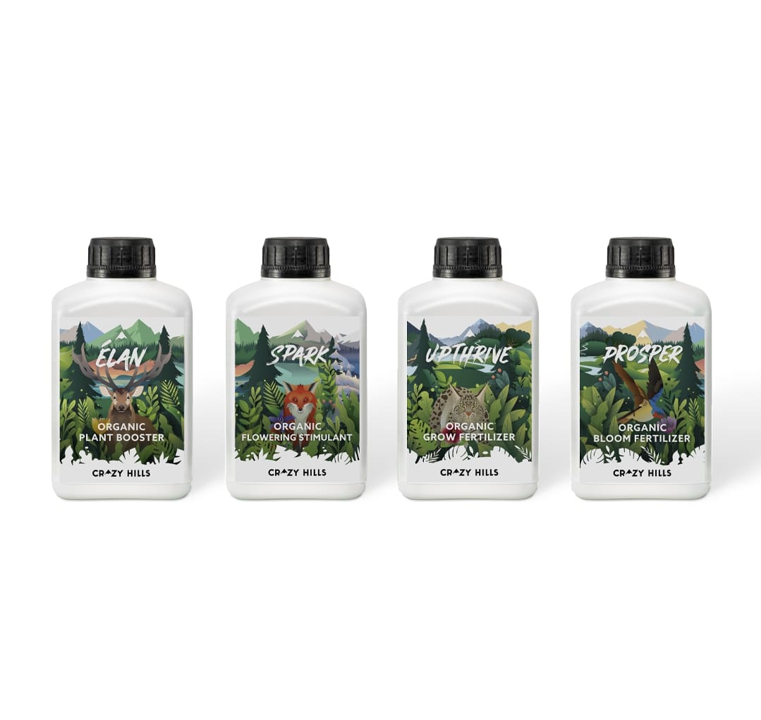 Explorer-Paket
