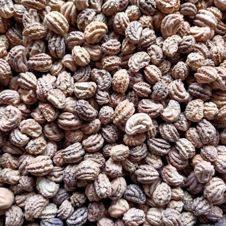 Brunnenkresse mit wenig Mikrogrün, 50 g