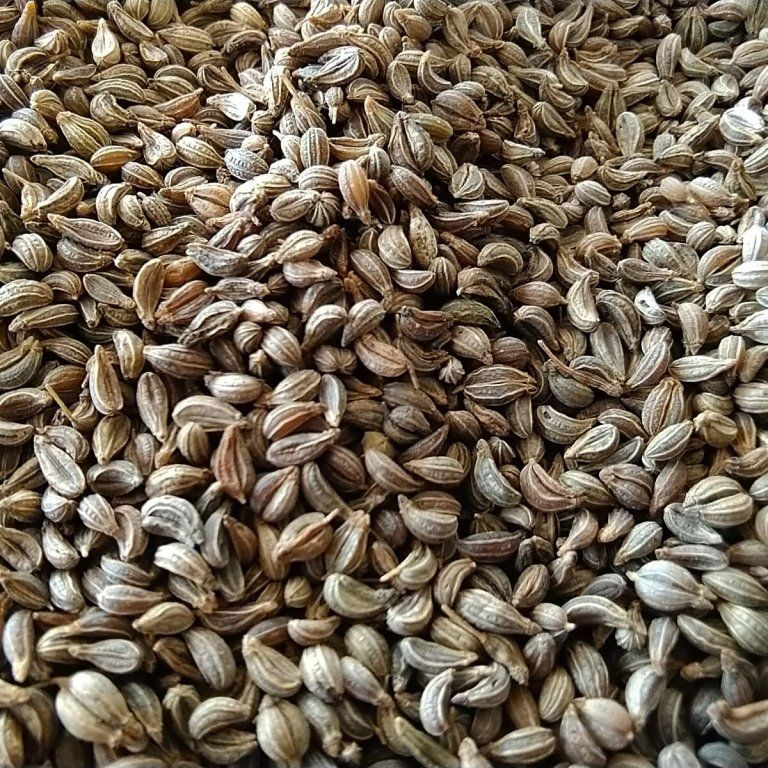 Gartenpetersilie auf Microgreens, 100 g