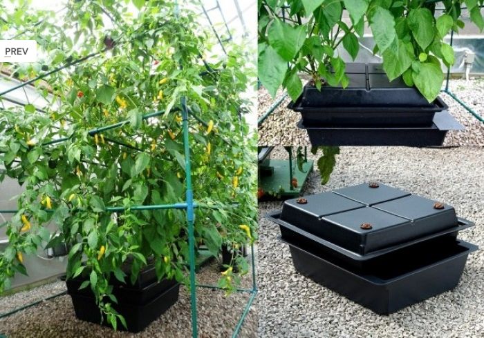 TWIN AMAZON für 16 Pflanzen - 100l Tank Photo2