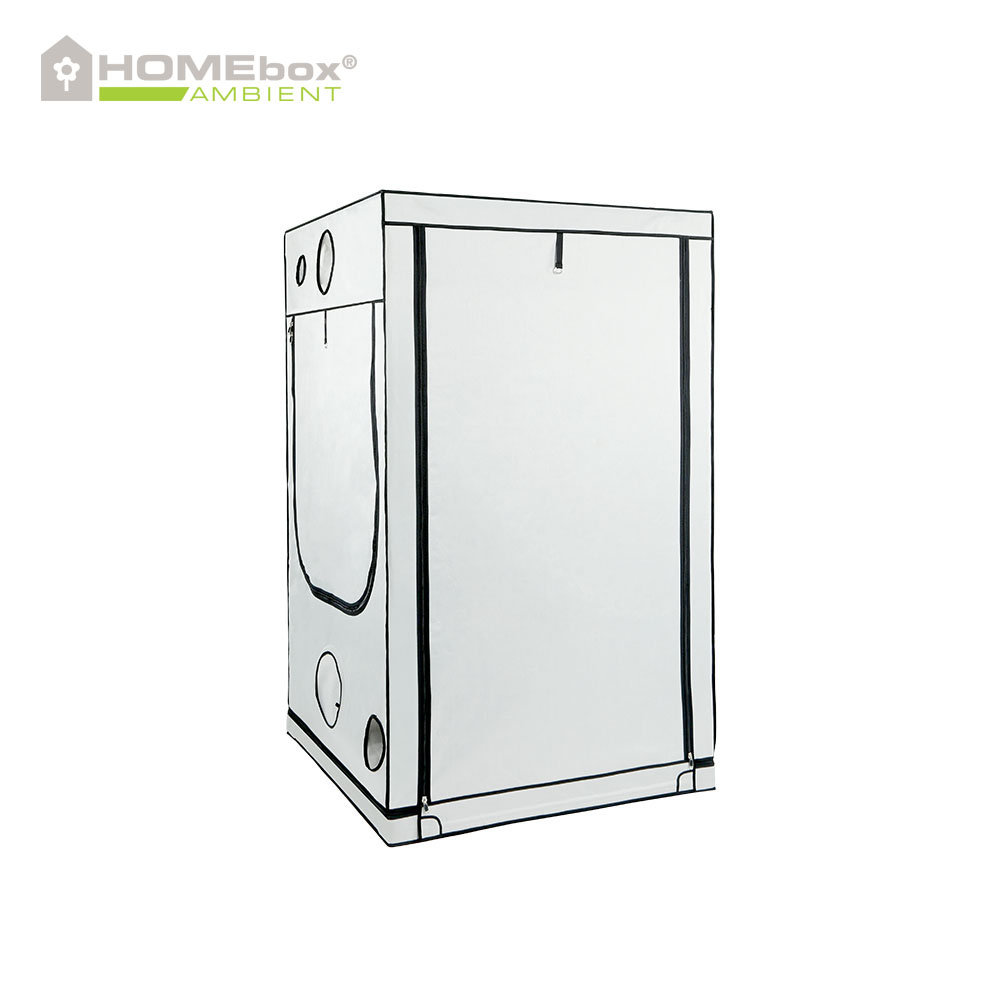 HOMEbox Ambient Q120 3