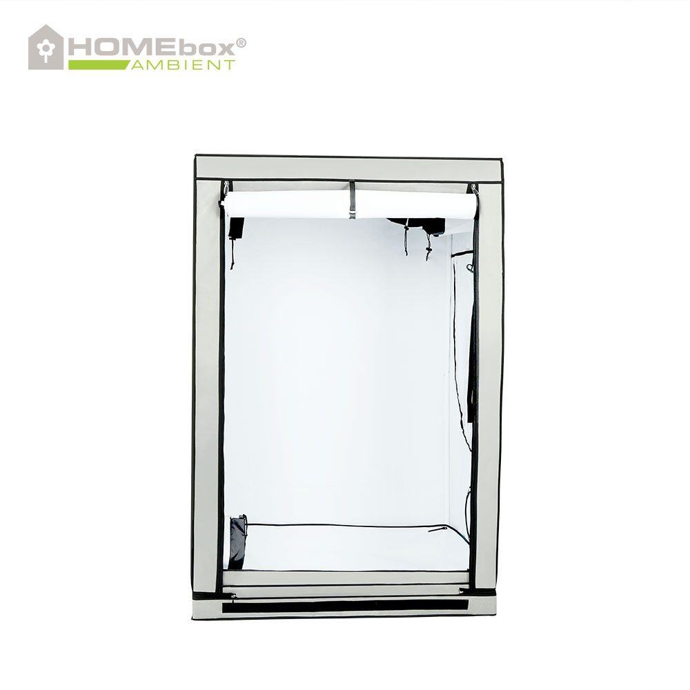 HOMEbox Ambient R120 2
