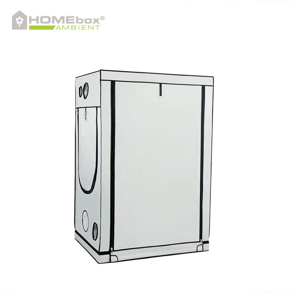HOMEbox Ambient R120 3