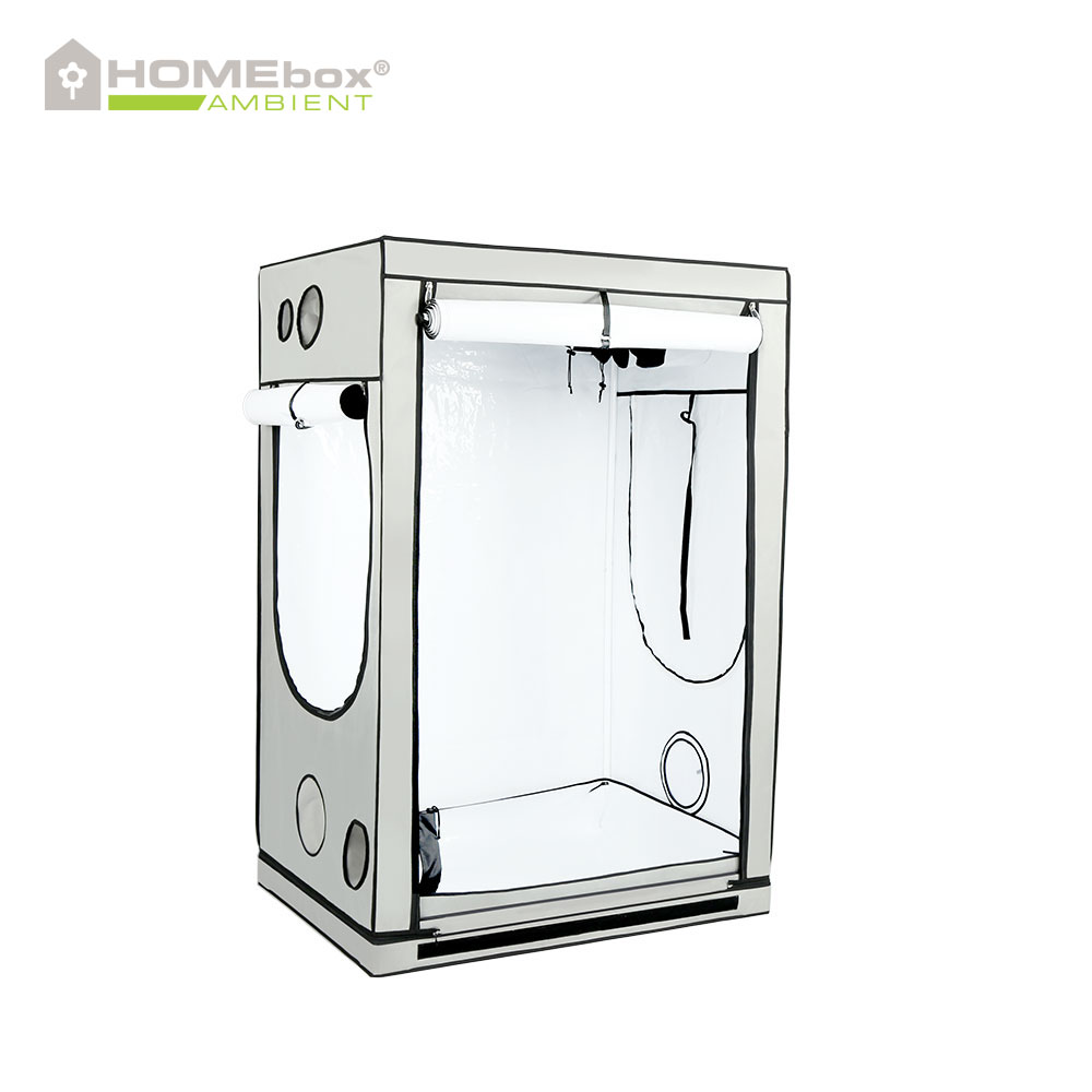 HOMEbox Ambient R120 1