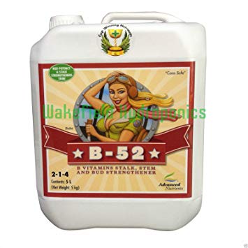 Advanced Nutrients B-52 (Volumen 4l)