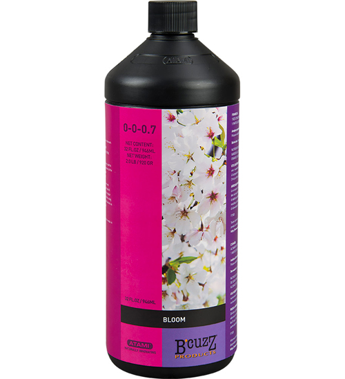 Bcuzz-Blüte